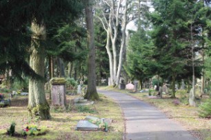 Großzügier, waldähnlicher Urnenhain am Poppelsdorfer Friedhof Urnenhain am Kreuzberg in Bonn
